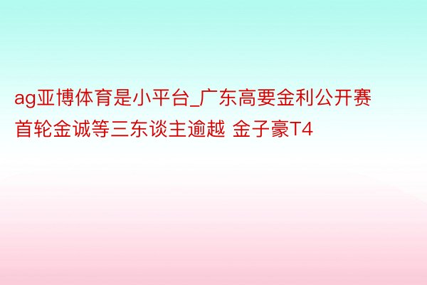ag亚博体育是小平台_广东高要金利公开赛首轮金诚等三东谈主逾越 金子豪T4